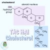 tac-hai-cholesterol-trong-my-pham-la-gi.jpg