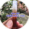 Sìn Sú Giúp Chịch Lâu
