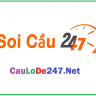 cau lo de 247